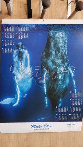 1kJvmd4Pca10RYSJPRz1eKDSeva5sDykqwjKc_OSHV_lQt3XoP_mFnPxehZOaYg7V-dhN4pPzsL0SpZP4JNOTc0LhOIxX1lZalBToSPM8IWD_wH66LNnedleL4IkxGCohQ7XXNlMIvOKyR-Uke5ipw==