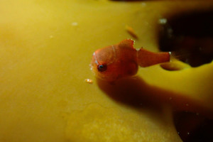 P3260116-1