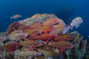P4120297-1