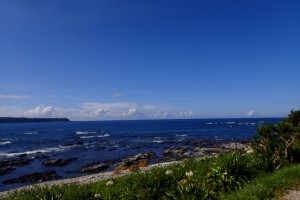 P8040050