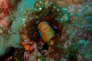 P8060987-1